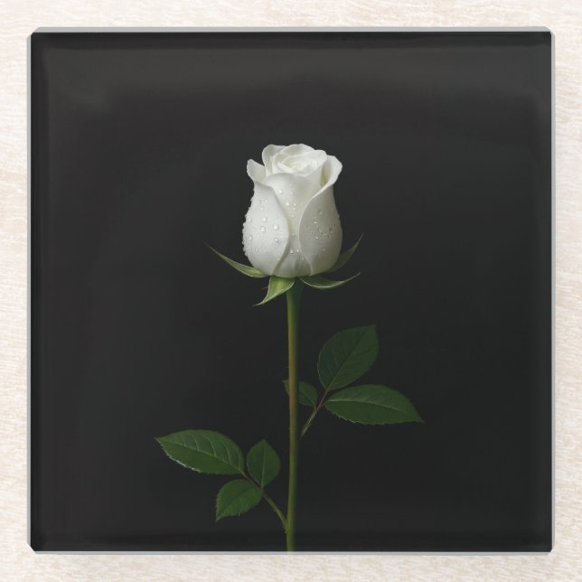 Dessous-de-verre En Verre Black 4 Luxe Glass coaster, Pure White Rose (Devant)