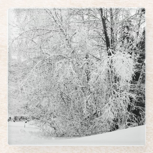 Dessous-de-verre En Verre Blancs d'hiver (Devant)