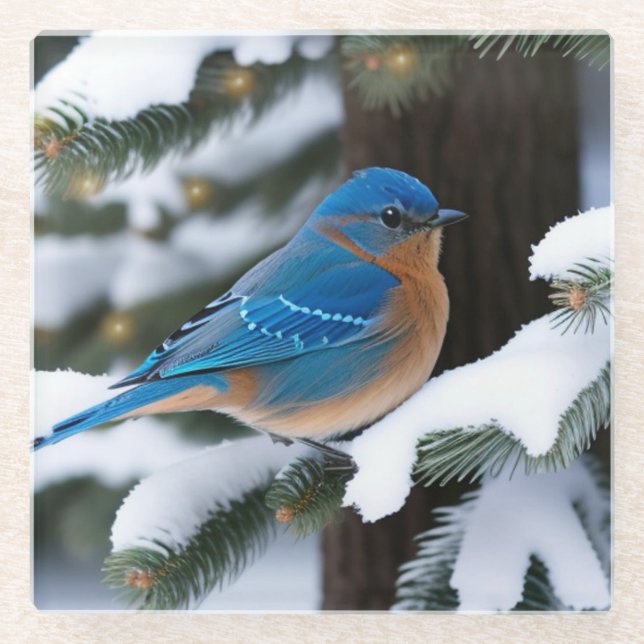 Dessous-de-verre En Verre Bluebird d'hiver (Devant)
