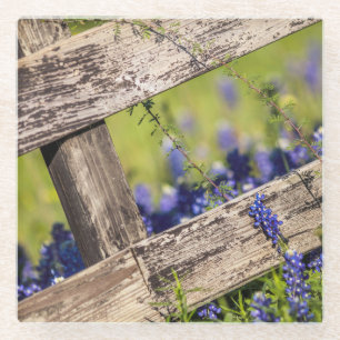 Dessous-de-verre En Verre Bluebonnets de Texas autour d'une barrière de pay