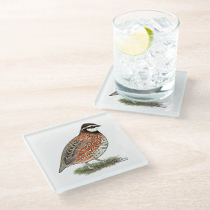 Dessous-de-verre En Verre Bobwhite Quail