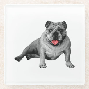 Dessous-de-verre En Verre Bouledogue avec Charme aux Taches Rouges