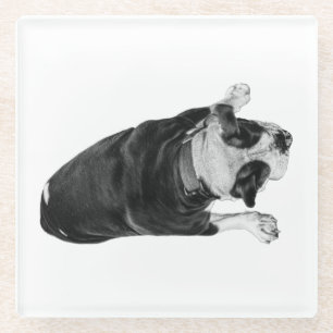 Dessous-de-verre En Verre Bouledogue avec Expression Joyeuse