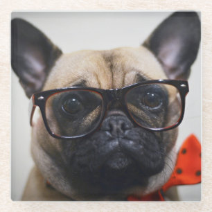Dessous-de-verre En Verre Bouledogue français avec les verres et la cravate