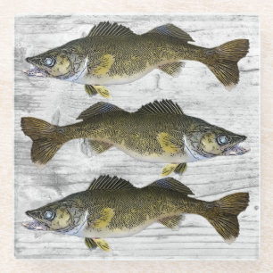 Dessous-de-verre En Verre Brochets vairons pêchant les poissons rustiques d