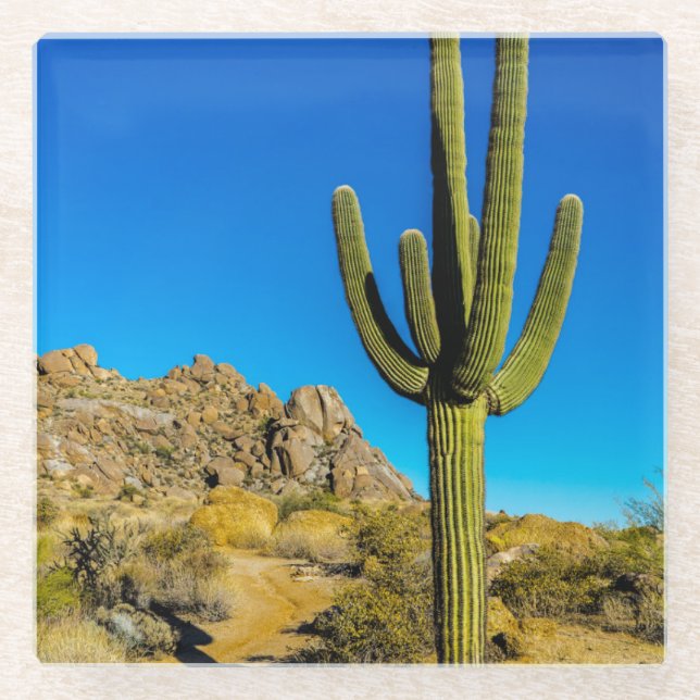 Dessous-de-verre En Verre Cactus debout (Devant)