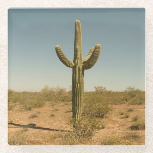 Dessous-de-verre En Verre Cactus solitaire (Devant)
