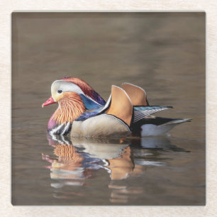 Dessous-de-verre En Verre Canard mandarin