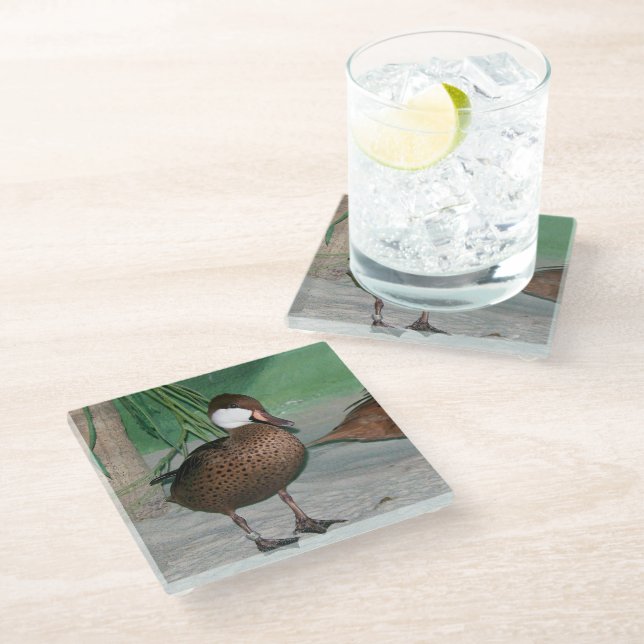 Dessous-de-verre En Verre Canards (Incliné)
