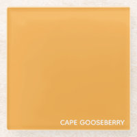 Cape Gooseberry yellow color name