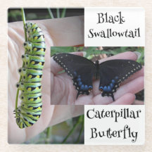 Caterpillar Noir/Papillon