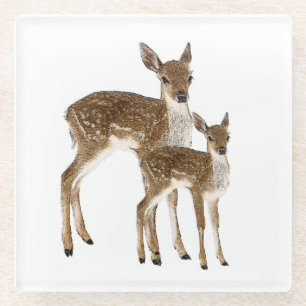 Dessous-de-verre En Verre Cerf