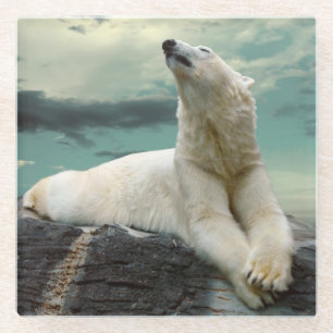 Dessous-de-verre En Verre Chasseur blanc d'ours blanc sur la roche