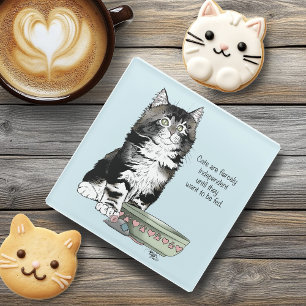 Dessous-de-verre En Verre Chat Gris Indépendant Tabby Bleu Mignon Drôle