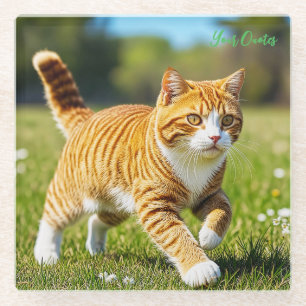 Dessous-de-verre En Verre Chat orange tigré réaliste dans une prairie ensole