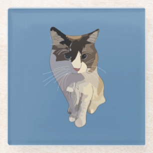 Dessous-de-verre En Verre Chat Ragdoll, Bleu Poussiéreux