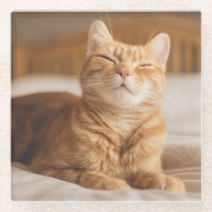 Dessous-de-verre En Verre Chat somnolent des images de Getty
