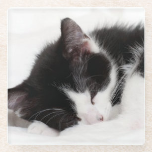Dessous-de-verre En Verre Chaton de sommeil