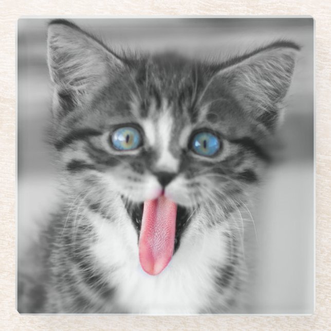 Dessous-de-verre En Verre Chaton drôle (Devant)
