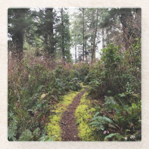 Dessous-de-verre En Verre Chemin de la boucle de la forêt côtière, Cape Disn