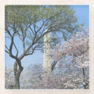 Dessous-de-verre En Verre Cherry Blossoms et le monument de Washington à DC