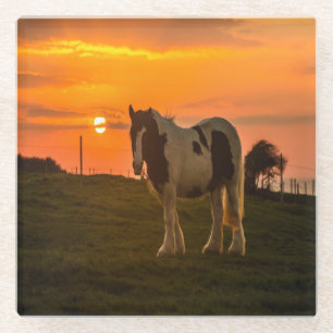 Dessous-de-verre En Verre Cheval du coucher du soleil