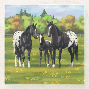 Dessous-de-verre En Verre Chevaux Appaloosa Noir Dans Les Pâturages D'Été