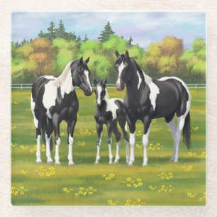 Dessous-de-verre En Verre Chevaux De Peinture De Pinto Noir En Pâturage Été
