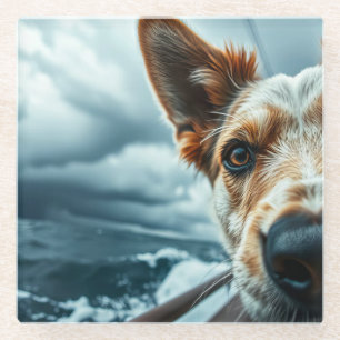 Dessous-de-verre En Verre Chien dans le lit d'un camping-car