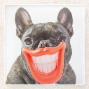 Dessous-de-verre En Verre Chien de sourire des images   A de Getty