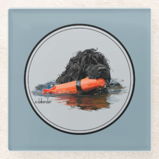 Dessous-de-verre En Verre Chien d'eau portugais avec le pare-chocs orange