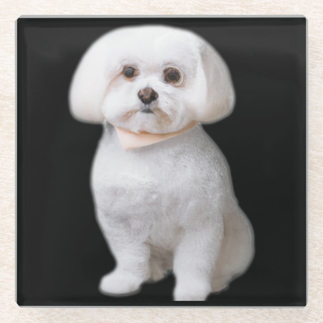 Dessous-de-verre En Verre Chien maltais (Devant)