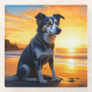 Dessous-de-verre En Verre Chien mignon sur la plage au coucher du soleil 