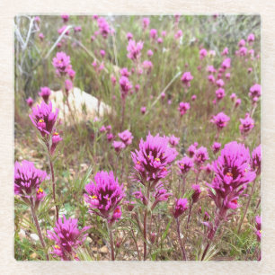 Dessous-de-verre En Verre Chouettes Fleurs de trèfle Fleurs roses Pré