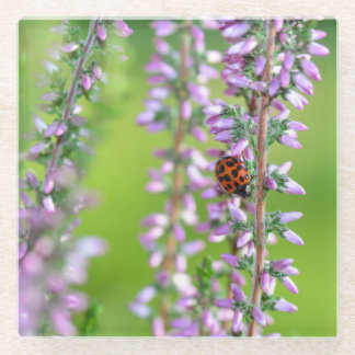 Dessous-de-verre En Verre Coccinelle sur fleur violette -