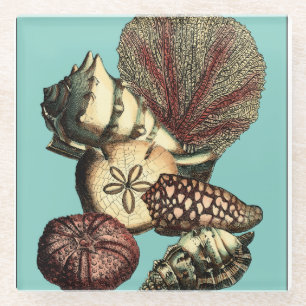 Dessous-de-verre En Verre Collection de coquillages turquoise et de coraux r