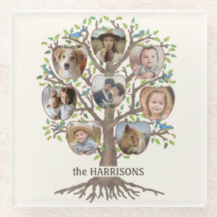 Dessous-de-verre En Verre Collection photo d'arbre généalogique 8 Photos N