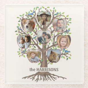 Dessous-de-verre En Verre Collection photo d'arbre généalogique 8 Photos Nom