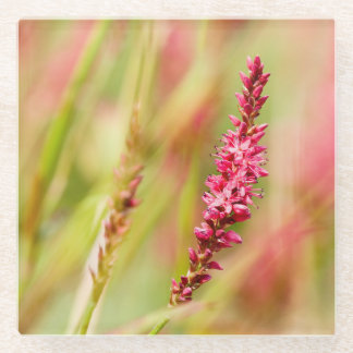 Dessous-de-verre En Verre coloris