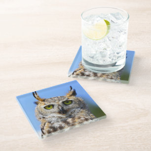 Dessous-de-verre En Verre Concours avec une belle chouette à la corne