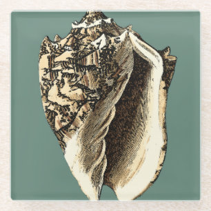 Dessous-de-verre En Verre Conque turquoise Shell