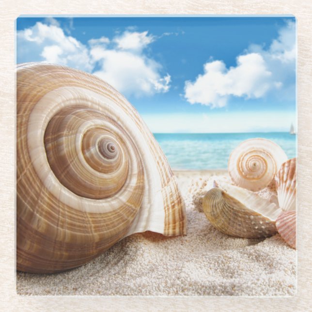 Dessous-de-verre En Verre Coques de Dessous de verre-mer en verre (Devant)