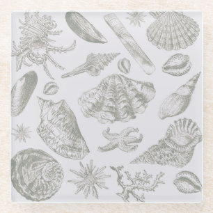 Dessous-de-verre En Verre Coquillage gris sauge doux croquis Antique Nature