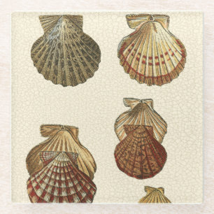 Dessous-de-verre En Verre Coquilles antiques craquelées