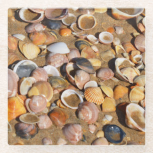 Dessous-de-verre En Verre Coquilles sur une plage sablonneuse Andalousie,