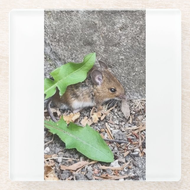 Dessous-de-verre En Verre Cosmère de souris (Devant)