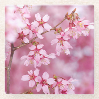 Dessous-de-verre En Verre Coster en verre rose