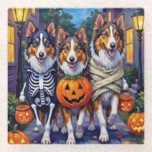 Dessous-de-verre En Verre Costumes d'Halloween pour Rough Collie allant cher