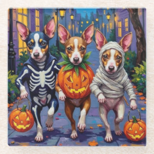 Dessous-de-verre En Verre Costumes d'Halloween pour Trick-or-Treat de Rat Te