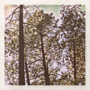 Dessous-de-verre En Verre Couleur par les arbres
